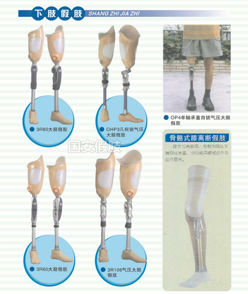 骨骼式膝離斷假肢